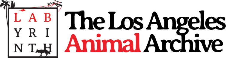 The History of the Los Angeles Animal Services Department